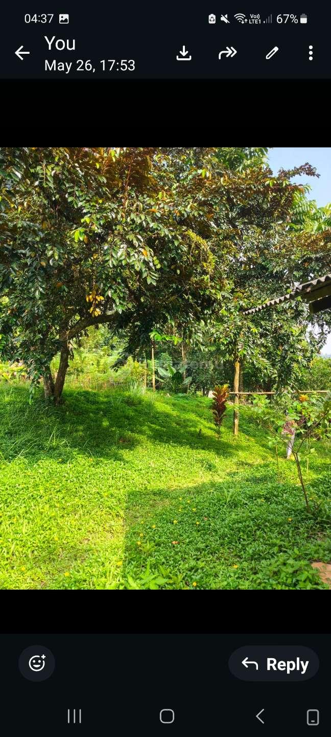 DIJUAL TANAH DENGAN HARGA MURAH