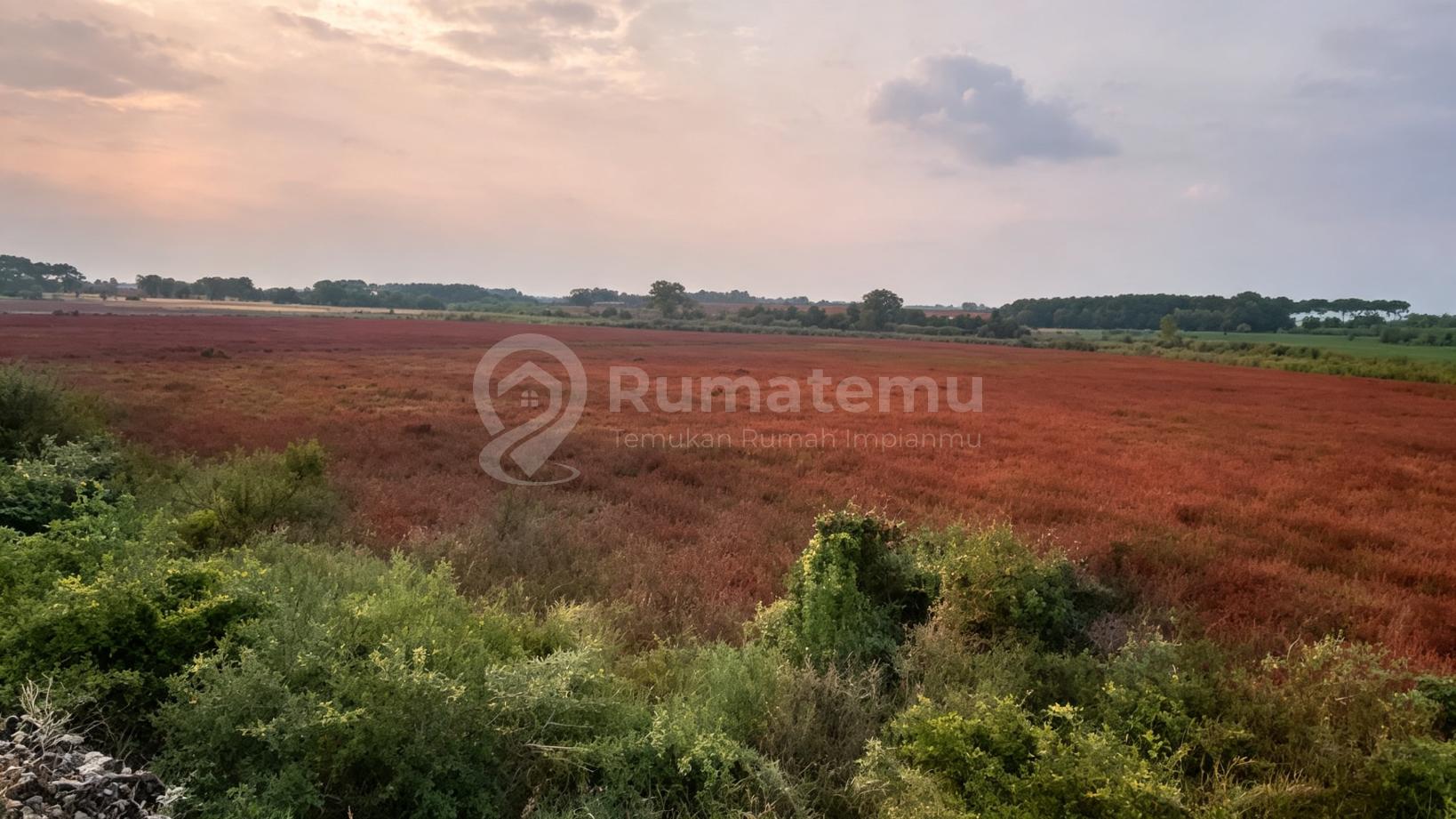Dijual Tanah Kavling Untuk Gudang dan Industri , Pasar Kemis - Tangerang