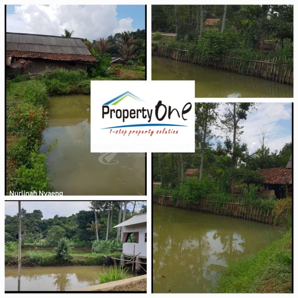 TURUN HARGA KOLAM IKAN DI DAERAH CISEENG GUNUNG SINDUR BOGOR
