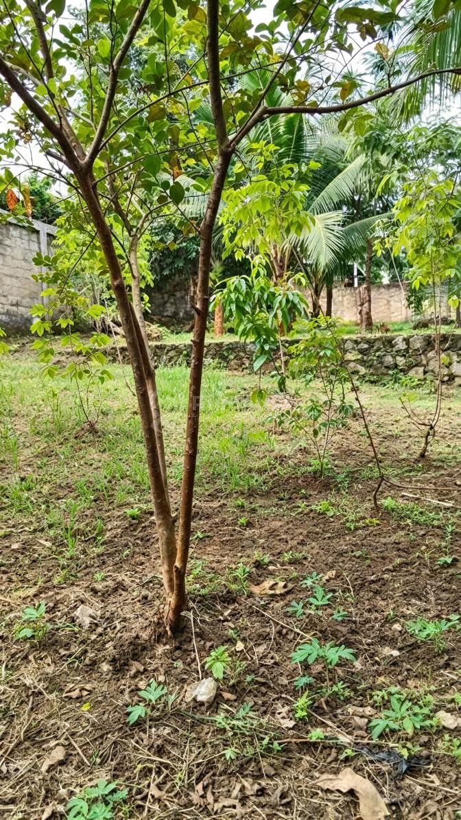 Siap Huni, Tanah, Dekat Pusat Perbelanjaan, bisa KPR