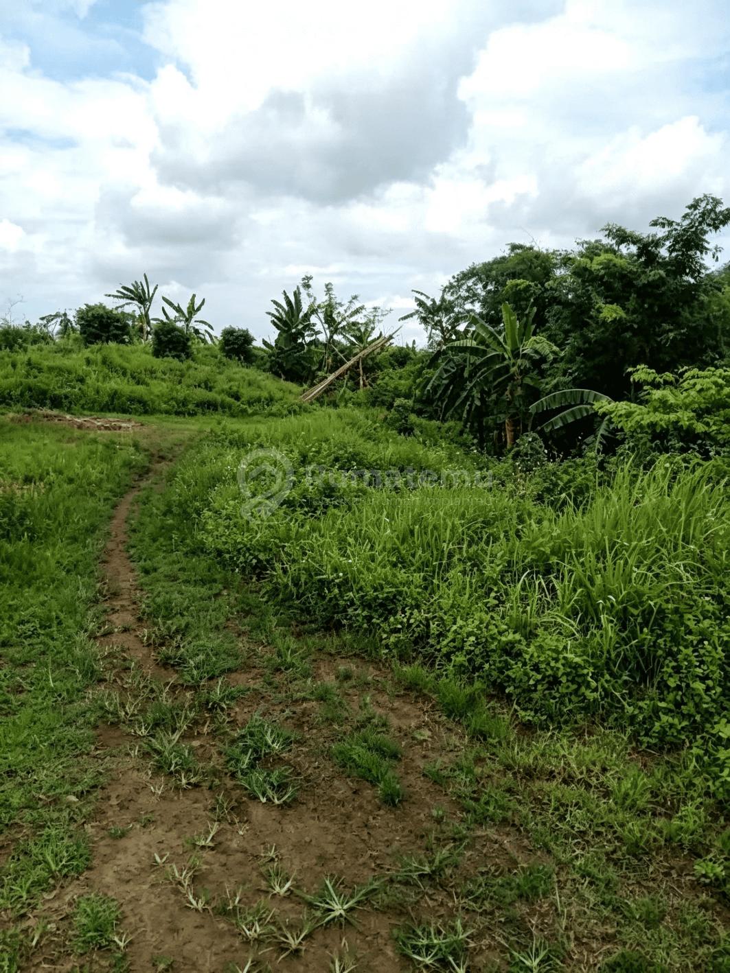 Dijual Tanah di Kp.serdang Kulon Gg Made Serdang Kulon, Kec. Panongan, Tng