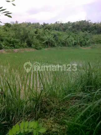 Dijual Tanah Siap Pakai Bisa Dibangun Villa/resort/hotel/kantor/taman Wisata Dll Di Pandeglang Banten