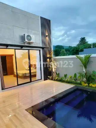 Rv-3199 New Scenic Rice Field Villa For Sale In Lovina, Buleleng, Bali