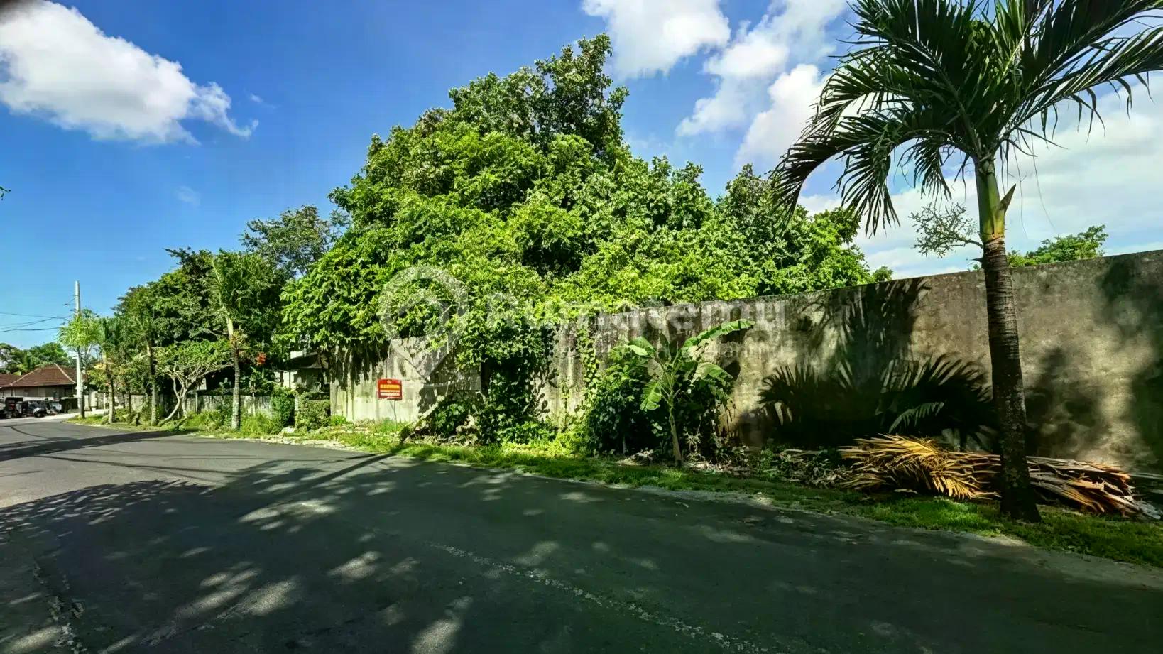 Ready For Sale Premium Location Land In Canggu Bali