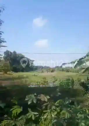 Jl.raya Pantura-Kec Jayanti [Tanah]:Strategi-Dekat Mayora-1Ha