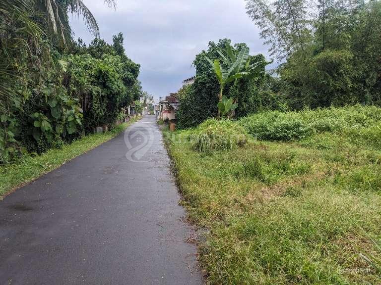 Tanah Apik Tepi Jalan 895m² Lebar 22m SHM Trimulyo Sleman 150m Jl Raya Turi 3 Menit Jl Raya Magelang Jogja