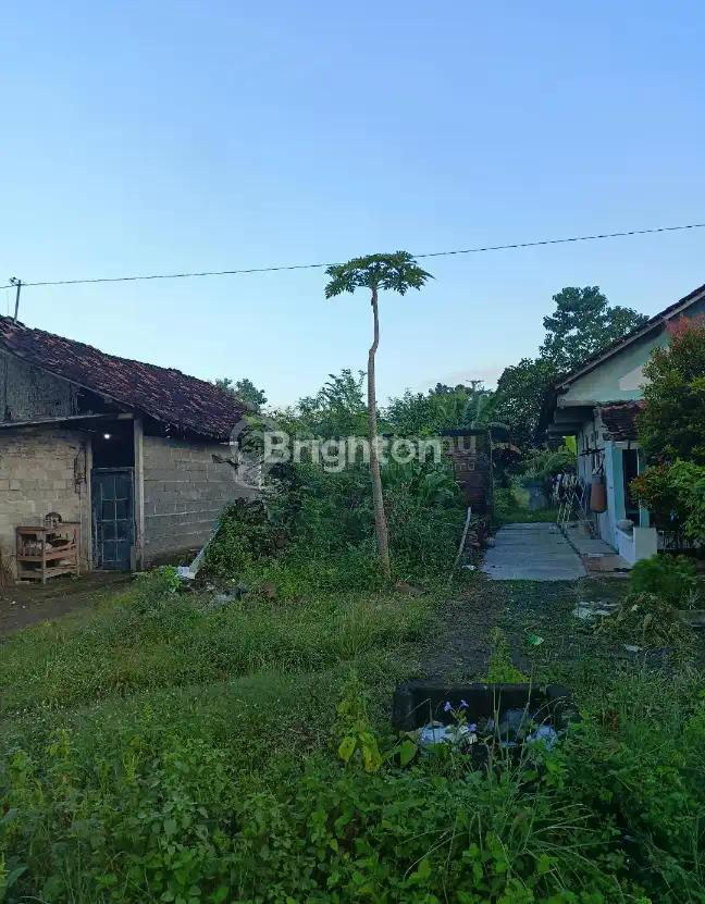 TANAH 774 M2 ROW JALAN 2 MOBIL GANDU BERBAH SLEMAN YOGYAKARTA