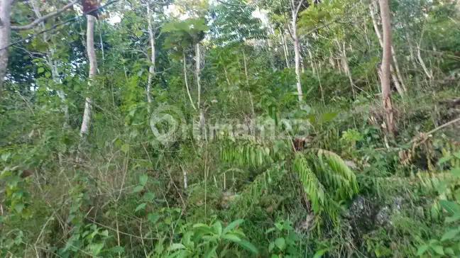 Dijual Bu, Sebidang Tanah di Desa Klumpu, Nusa Penida Bali