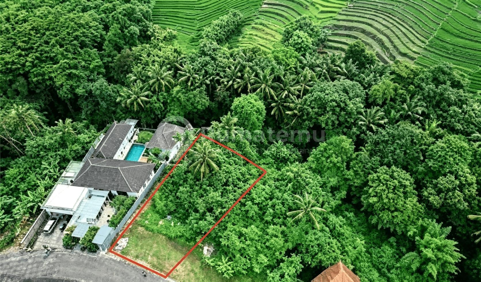 Lahan Premium Siap Bangun di Kedungu Bali Murah Meriah