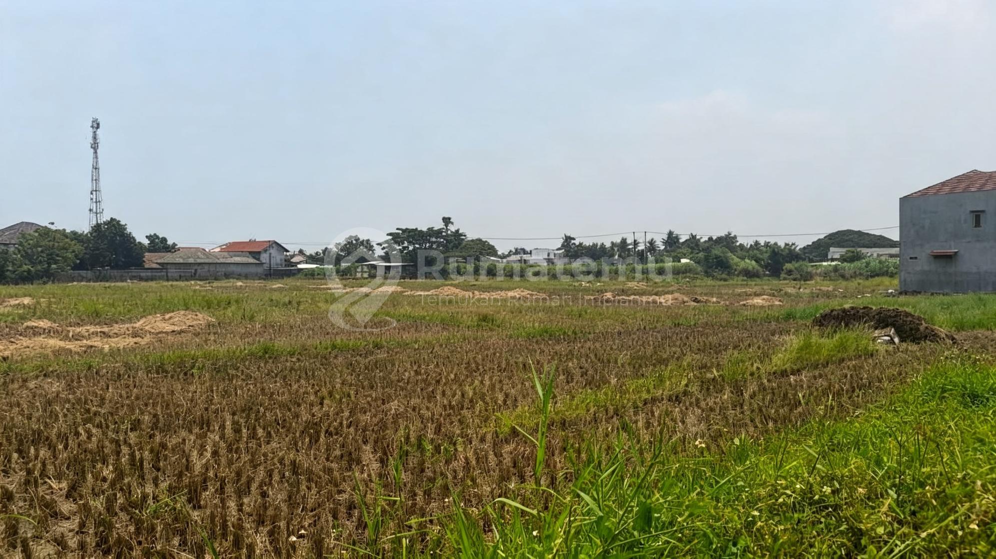 Tanah Sawah di Pasilian,Kronjo-Lokasi 50 Meter Dari Jl.raya Kronjo Dekat Kantor Pos & Samsat Kronjo
