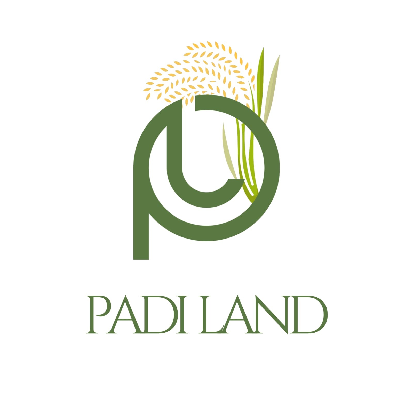 Padi Land